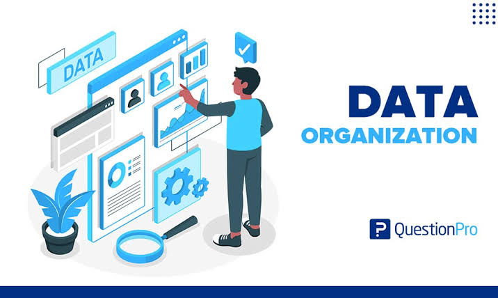 Organise the data